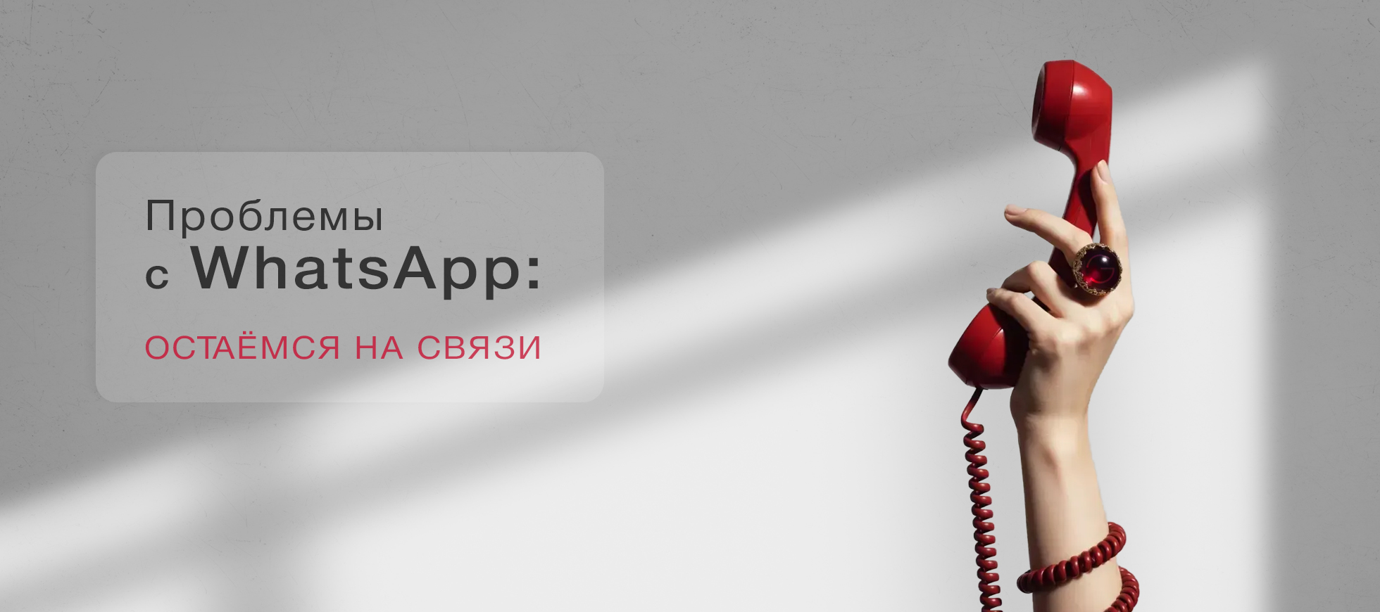 Напишите в Whatsapp